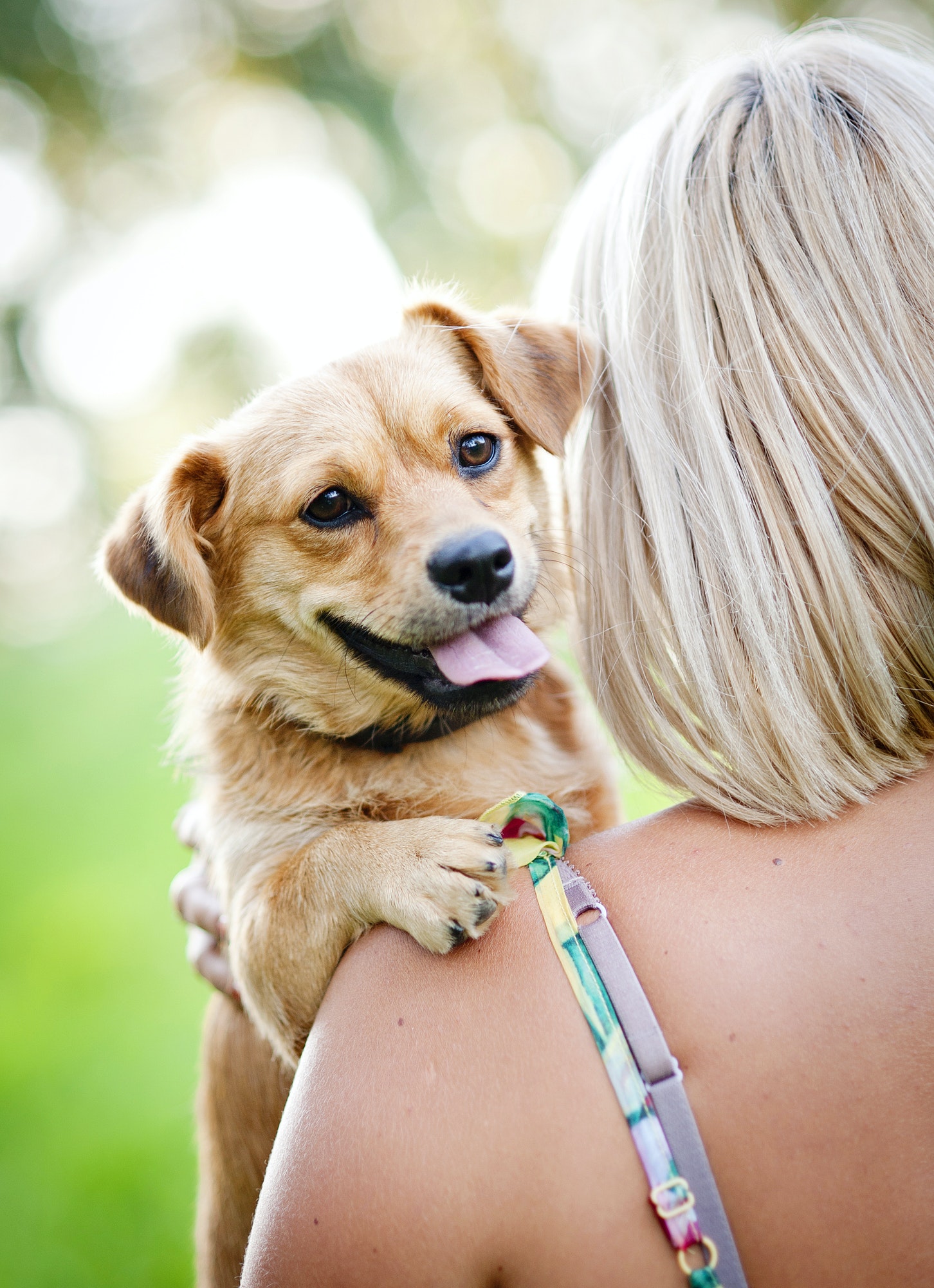 woman-playing-with-dog.jpg woman-playing-with-dog.jpg